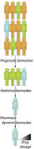 Clinical Biomarkers