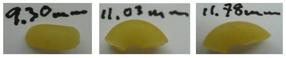 Macaroni measured by a caliper
