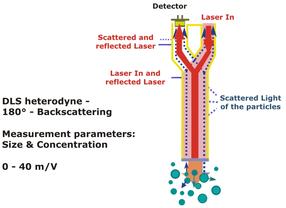 180° DLS heterodyne size measurement probe