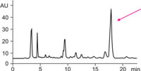 xalphacrom-st-2
