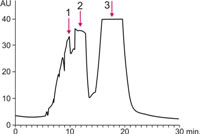 xalphacrom-st-3
