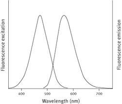 bmg-molecularprobe-166-1