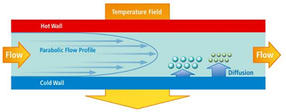 postnova-fff-image-11