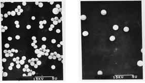 postnova-fff-image-16