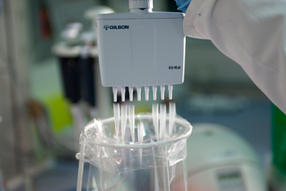 4_Gilsonpipettieren4