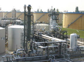 Poerner-Schwarzes_Gold