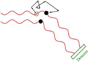 Wyatt-DLS-Abb1b