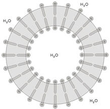 Wyatt-Partikel_mit_Potenzial-Abb5b