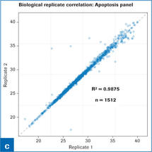 RealTime ready RT-qPCR Assay Development and Qualification