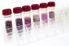 Vertical pre-cast gels for the electrophoresis lab