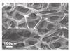 Graphene foam detects explosives_1