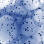 Datenspeicher mit Lachs-DNA und Nano-Silber_1