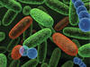 Next Generation Sequencing: New kit allows for ultra-deep microbiome sequencing