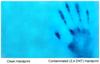 New chemical sensor makes finding landmines and buried IEDs easier_2