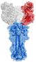 C05 antibody