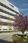 BASF dermatology laboratory