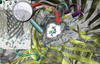 TRANSLOCATION