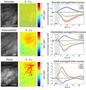 Development of the Hemodynamic Response