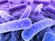 Sepsis photo 2 