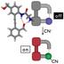 Designer molecule detects tiny amounts of cyanide_then glows