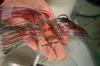 New microchip technology performs 1000 chemical reactions at once