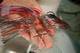 New microchip technology performs 1000 chemical reactions at once