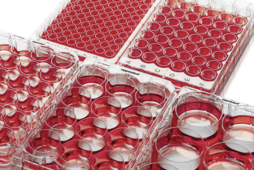 Plaques de culture cellulaire avec meilleure utilisation en microscopie