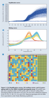 high throughput snp