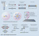 roche-02-08-sequencing-image001
