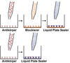 candor_e_stabilization_abb_3_rgbx