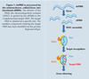 roche-03-09-helpcorner-abb1