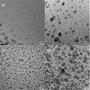 Empa-Forschungsteam designt therapeutische Beschichtungen mit Silber