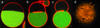 Nanotube formation 